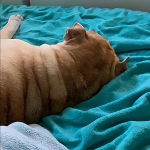 Meet your Posher, Edith